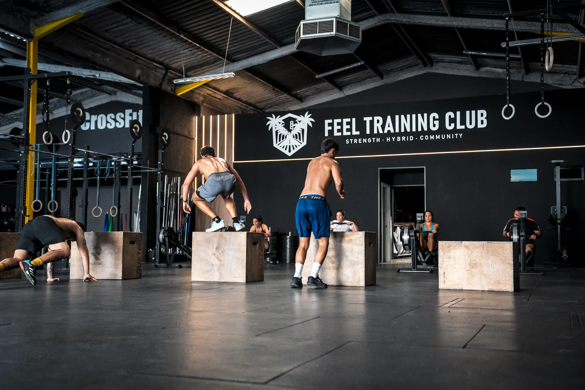 Grupo de personas alternando saltos al cajón y burpees durante una clase en Feel Training Club Sevilla